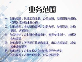 汉阳代理记账 专业服务解决您的工商税务难题