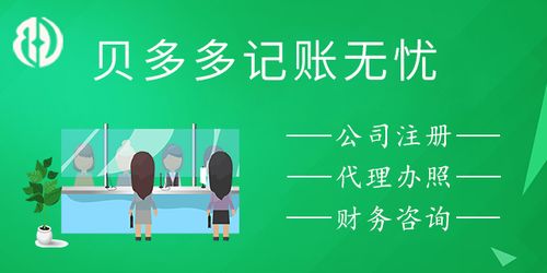 巢湖财务代理记账报价与选择指南